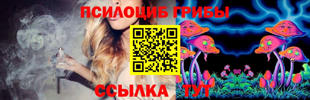 Ачхой-Мартан  Галлюциногенные грибы Psilocybine cubensis  Галлюциногенные грибы мицелий  Вход с VPN 